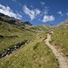 Il sentiero nella parte del fondovalle 