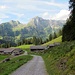 Rückblick zur Alp Chüstalden - hier trifft der Weg von Richisau auf den Aufstieg zum Glärnisch