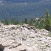 Paget Peak Lookout