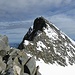 Blick von "La Spedla" auf den Gipfelgrat des Piz Bernina