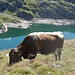 La Mucca vor dem Lago della Sella