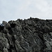 schwarzer Fels auf dem SW-Grat