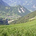 Oberrickenbach, im Vordergrund noch gut sichtbar der grosse Rutsch beim Schmids-Boden (Sommer 2005)