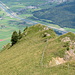 idyllischer Vorgipfel über der Linthebene