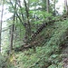 alte Abstiegshilfen Richtung Cholerbach