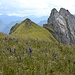 Nochmals eine Minute Musse ob der schönen Alpenflora. Anschliessend folgen noch knapp 2 Stunden kniestrapazierender Abstieg durch die Grueb zur Bergstation Gamplüt.