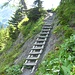 kleine Leiter auf dem Weg zur Alp Aelple