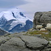 Schwarznasen-Schafe auf der Schattenseite eines  Felsens unterhalb vom Borterpass