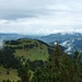 Vom Latschenhang geht der Blick schon übers Älpele hinaus ins Rheintal bis zum Bodensee