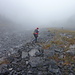 Nebelsuppe und 1 Grad plus am Beginn der Steilschlucht