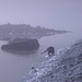 Tracerinjektion im Nebel am glatten Ufer des Sees