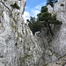 Les voies d'escalade sont tracées dans ces parois dominant le Col de l'Aiguillon