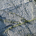 Detail Schafbergwand