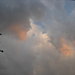 Wolken III