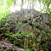 Am Fahnenstein