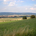 Der Osterwald beim Anstieg zum Bockshorn