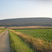 Rückblick auf den Thüster Berg. Der Lönsturm steht oben rechts auf dem höchsten Punkt.