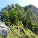 Drahtseilpassage, rechts Gipfelaufbau des Mitllerspitzes