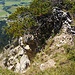 Tiefblick nach Grän