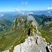 Der "klassische" Blick auf Seealpsee und Fälensee.