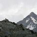 2 Steinadler auf dem Tällistock 2875 m; im Hintergrund das Grosse Muttenhorn 3099 m