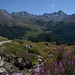 Alpe Botza