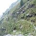 Parte del percorso dopo l'Alpe Bardughè