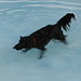 Zina in the “pool”