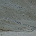 Gletscherbäche vom Vadret d'Err (links) und Vadret Calderas (vorne) fliessen zusammen. Auch hier: ein Mensch als Grössenvergleich.