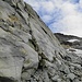 Vom Gletscher unglaublich fein geschliffenes Gestein, welches sich glatt wie Marmor anfühlt.