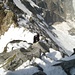 Tiefblick vom Gipfelaufbau des Piz Bernina 4049m