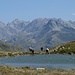 Blick zurück in das Jenatschgebiet