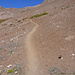 Ripido diagonale