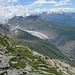 Aletschgletscher (mit Bettmerhorn und Eggishorn)