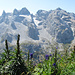 blumiger Blick vom Gipfel der Geißspitze zu den noch höheren Drei Türmen und zur Drusenfluh
