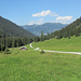 ein gemütlicher Weg führt talwärts durchs Gauertal ...