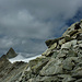 Abstieg über den etwas mühsamen Südgrat des Blanc de Moming