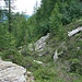 Wer findet den Weg??? Die Verbindung zwischen den Alpen Lorino und Albiona ist weit gehend weglos.