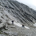 Blick zurück ins Kar - wer nicht öfters in den Alpen ist, rennt am liebsten direkt zu den nächstbesten Schneefeldern