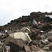 das ist nun das Barafu "Camp" (4600 m) im Steinschutt - oder war es doch 500 m weiter :-) von hier beginnt nachts der Gipfelsturm