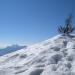 Auf dem Gipfel des Doldenhorn 3643m (zur Abwechslung steht da ein Tannenbaum, statt ein Gipfelkreuz)