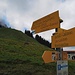 Ab hier geht der Weiss-Blau-Weisse Alpin Weg hoch