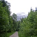 Forstweg von Linderhof ins Kuchelbachtal