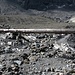Brücke#1 - Baumstamm über einen kaum sichtbaren Gletscherbach