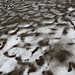 <b>Sul Ghiacciaio del Corno mi gusto la sua peculiarità del momento: la superficie è ricoperta da geometriche spolverate di sabbia.</b>