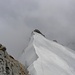Superata Punta Giordani proseguiamo per la Piramide Vincent dove si alternano tratti di neve e roccia.