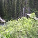 Brücke über den Helmet Creek