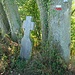Hier, am Waldrand, neben der GR57 Markierung verstarb 1887 ein Herr de Ollomont steht auf dem Grabstein ... wie, warum ?  