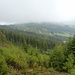 Aussicht vom Pfyffe zum Sturmholz-Wald