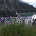 Lago/D. Barbellino